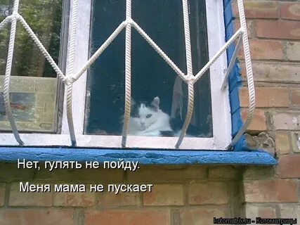 Не пускают гулять