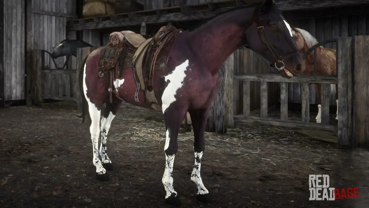 Рдр 2 временная лошадь. Red dead redemption 2 теннессийская лошадь. red dead redemption 2 лошади. red dead redemption 2 кони. рдр 2 теннессийская лошадь.