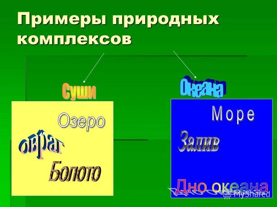 Какие природные комплексы являются наименьшими по размеру