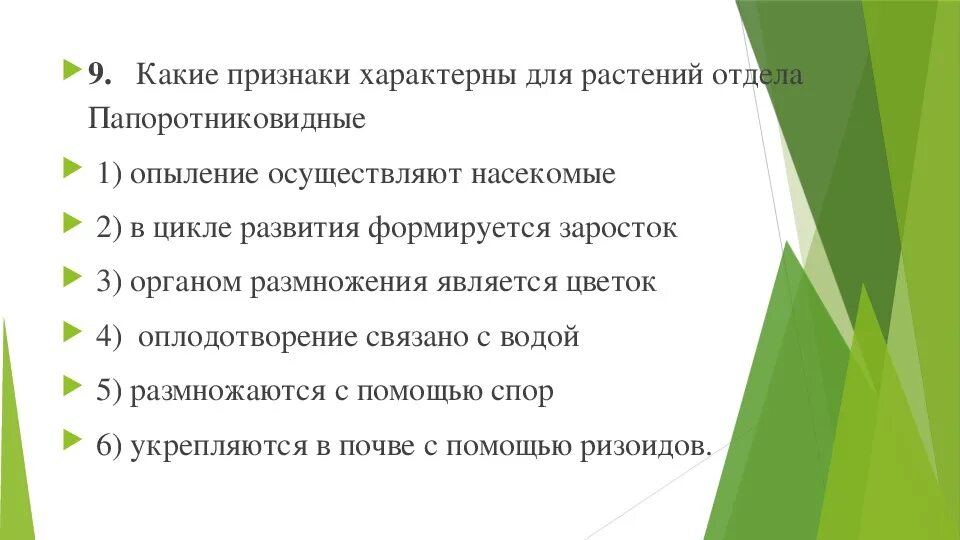 Отдел папоротниковидные. Общая характеристика папоротникообразных кратко. Общая характеристика папоротникообразных 5 класс биология. Характеристика отдела папоротниковидные. Характеристика папоротников.