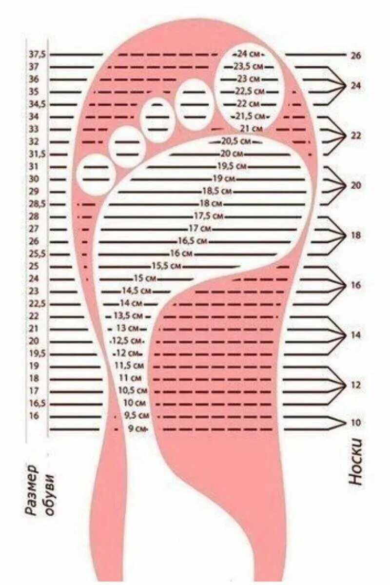 Подошва 37 размер. Размерная сетка для вязания тапочек. Макет стельки для обуви. Линейка для размера стопы. Размер стельки.