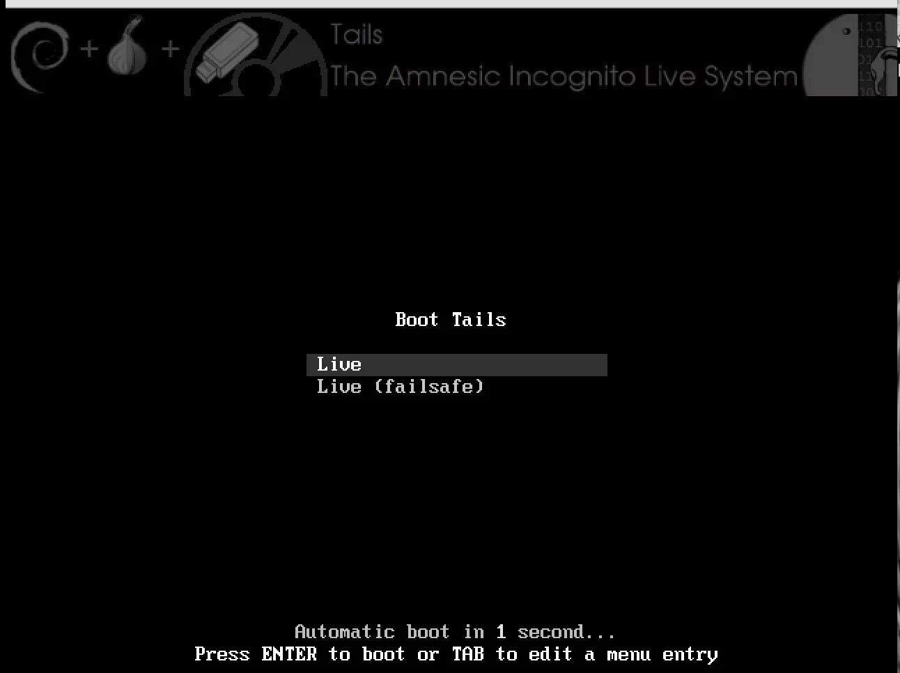 The live system. The Amnesic Incognito Live System. Tails os. Live System.