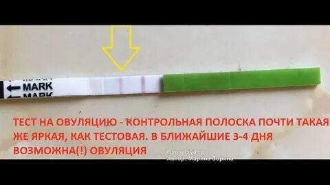 Тест на овуляцию яркая полоска