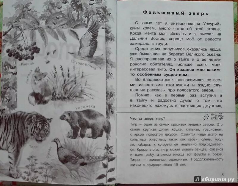 Рассказы таежных читать. Книга в тайге арсеньев. книги о таежных охотниках. книги для детей о тайге.