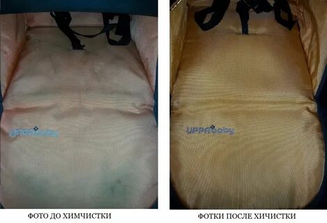 Плесень коляска