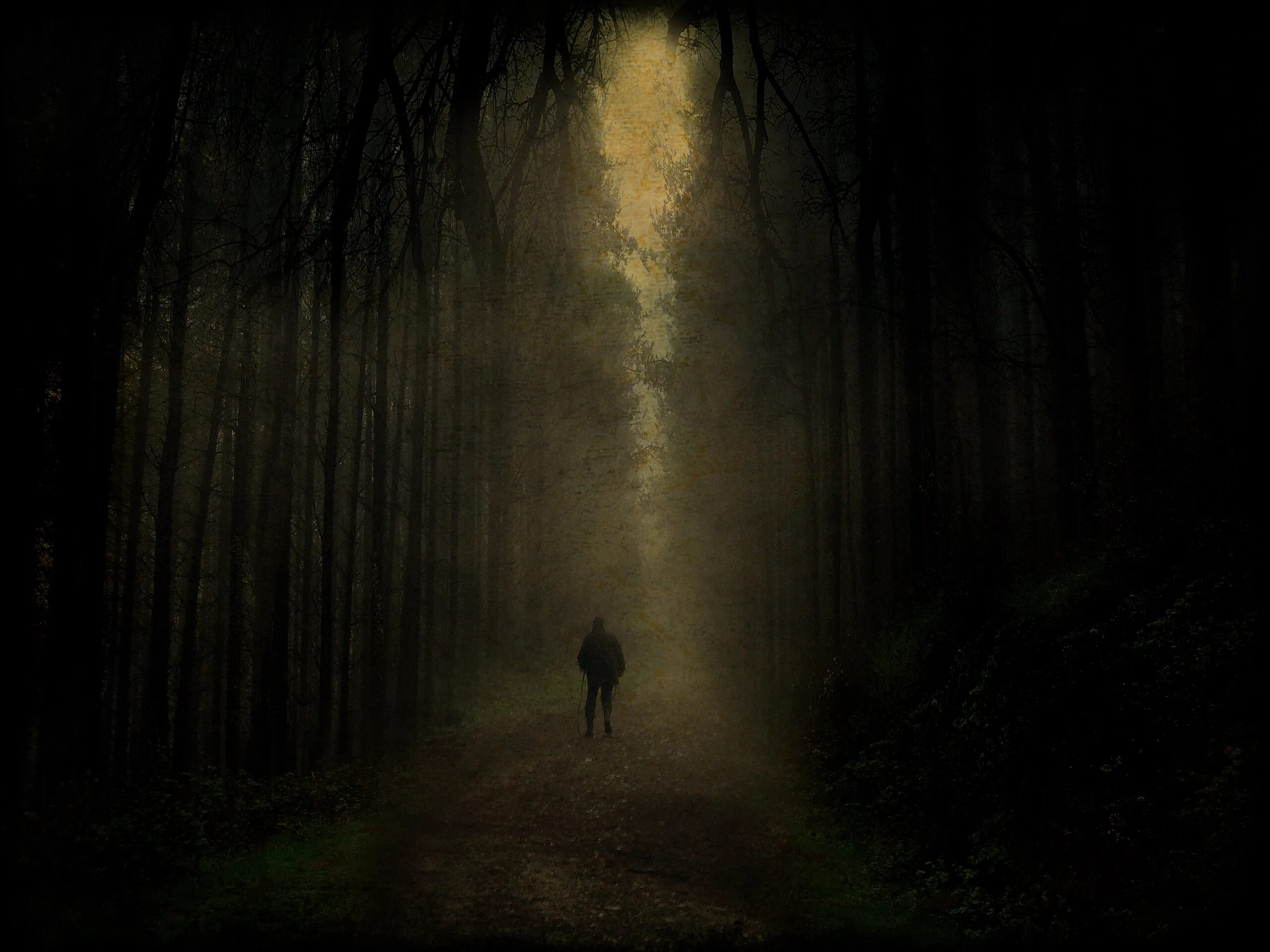 Темный лес. Человек в темном лесу. Тьма лес. Мрачный лес.