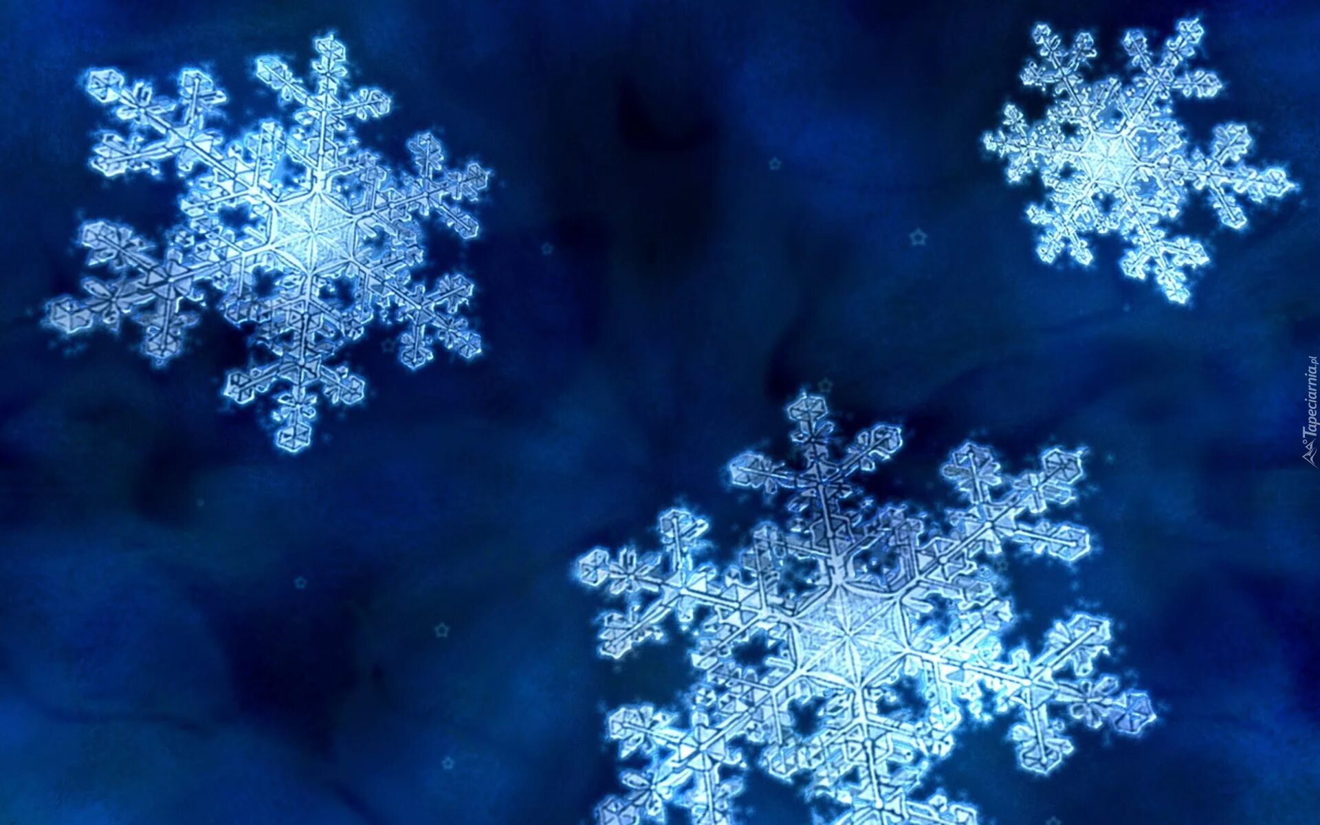 Снежинки полностью. Снежинки полностью. Прекрасные снежинки. Красивая снежинка настоящая. Удивительные снежинки.