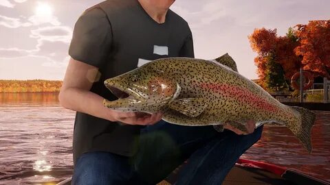 Fishing sim world