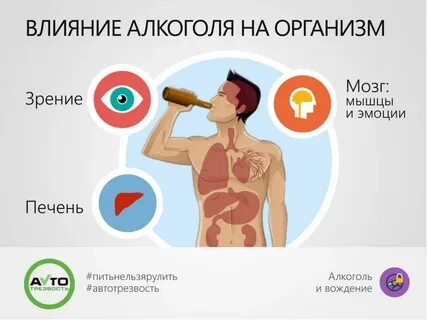 Как влияет печень на организм