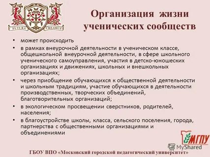 План организации жизни