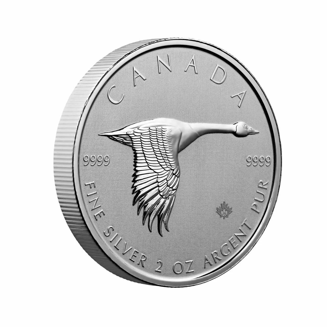 Canada Dollar монета. Монета Canada Goose Канада. Канадский доллар монета серебро. Канадская монета с уткой.