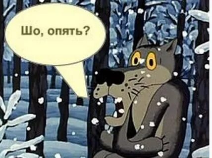 Mikhail Bobokhin - (291 фото), 44 года, Санкт-Петербург, профиль в Celebe