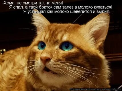 Сам лезешь