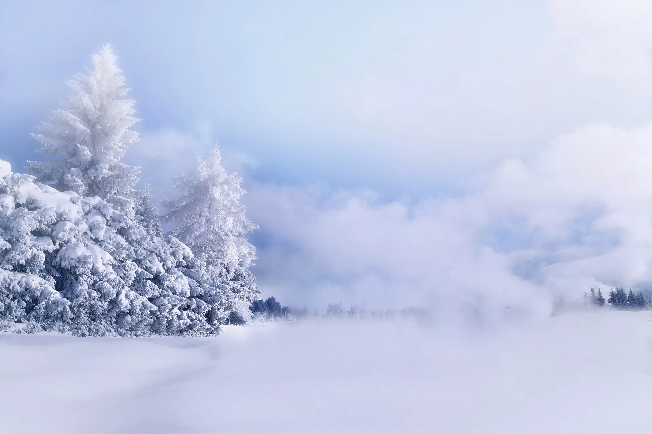 Snow is beautiful. Зима. Снежный пейзаж. Зимний фон. Зима снег.