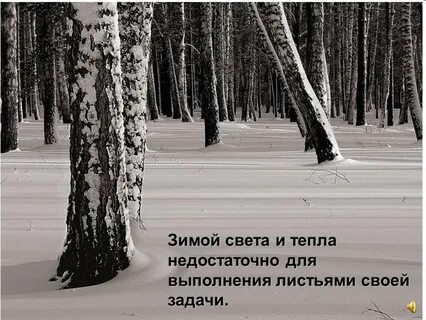 Недостаточно тепла