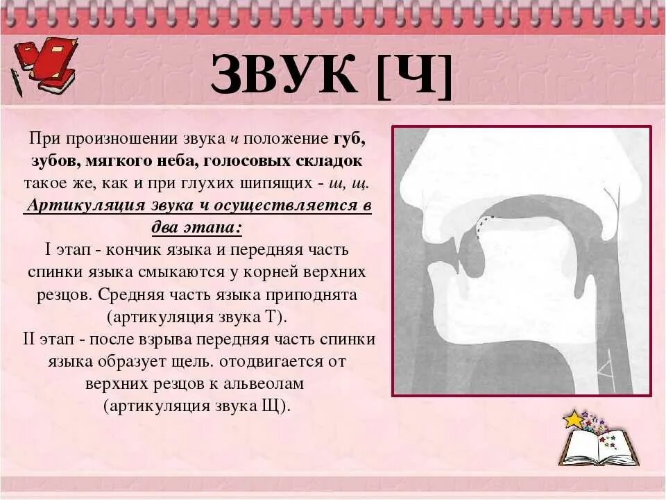 Как выговаривать букву с. Правильная артикуляция звука с. Положение языка при звуке ч. Артикуляция звука ч. Правильная артикуляция звука ч.