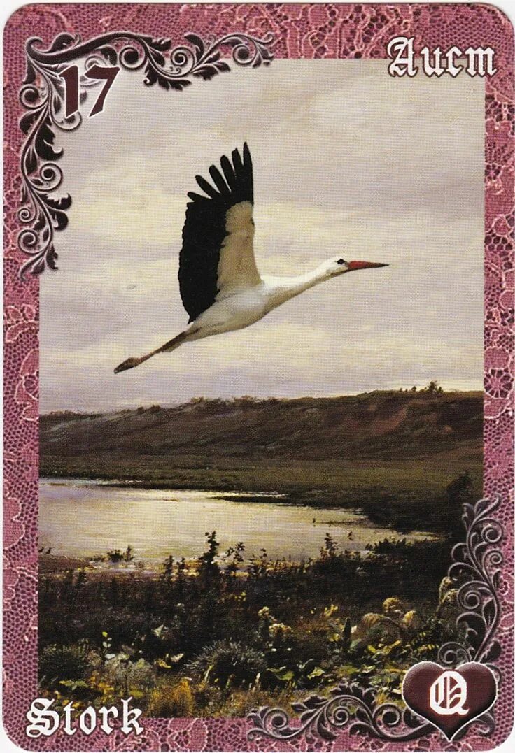 Оракул аисты. Карта аист ленорман. Чаривна мить аисты. 17 карта ленорман. Семья аистов.