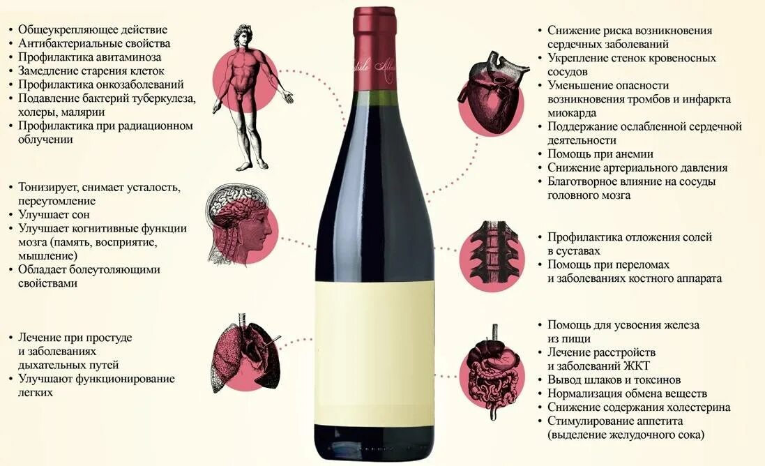 Вино полезно для сосудов. Чем полезно вино. Польза красного вина. Полезность вина. Полезные красные вина.