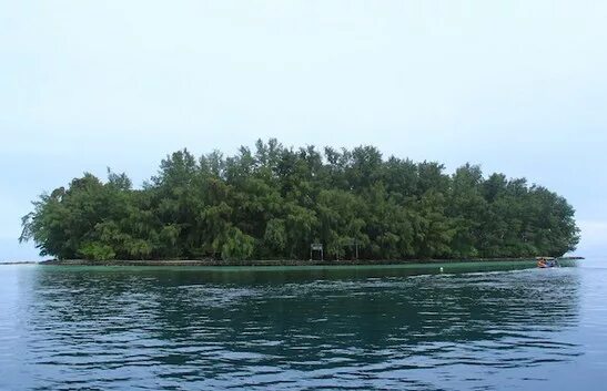 Менджанган. Остров восточный. Включи восточный остров. Ист айленд. Включи восточный остров.