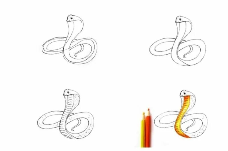 Змейка для начинающих. Змея поэтапное рисование. Как нарисовать змею. Поэтапный рисунок змеи. Змея карандашом для срисовки.