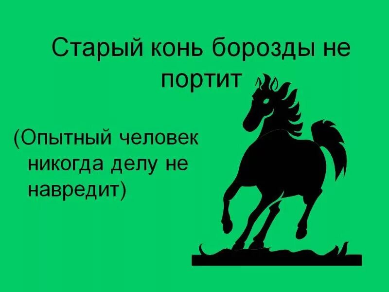 Поговорка не испортить. Старый конь борозды не испортит. Пословица старый конь. Стырй коньб борозды неиспротит. Пословица старый конь борозды не испортит.