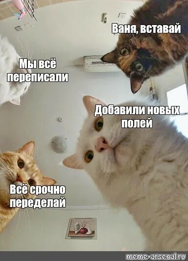 Убери вообще все