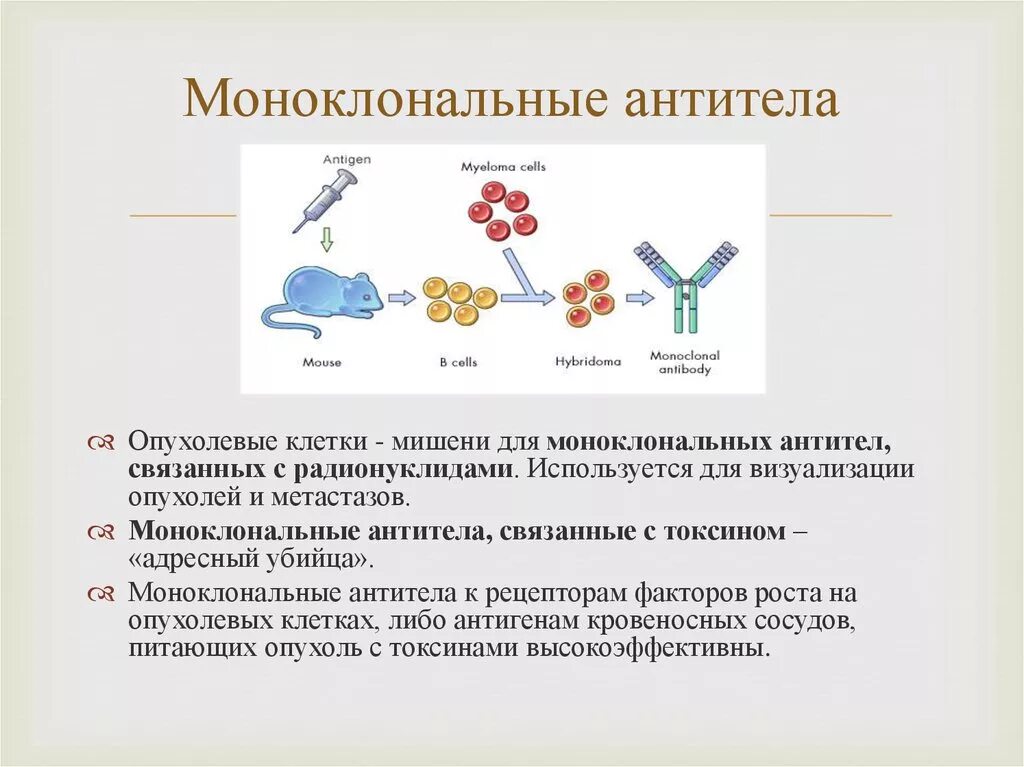 Препараты гуманизированных моноклональных антител. Терапевтические моноклональные антитела. Мишени моноклональных антител. Мышиные моноклональные антитела. Клон антитела