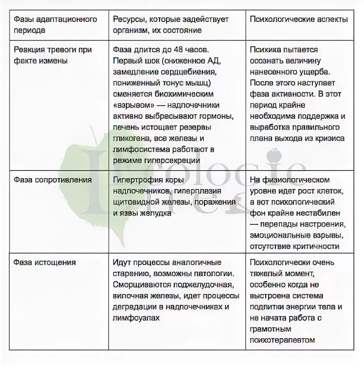 Поведение после измены. Этапы после измены мужа. Стадии состояния после измены. Стадии после измены мужа. Признаки измены мужа в поведении как узнать.