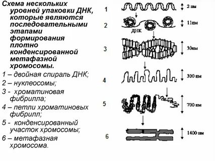 Уровни упаковки