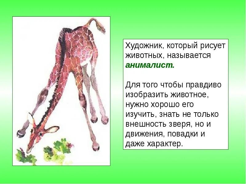 Почему человека нельзя назвать животным