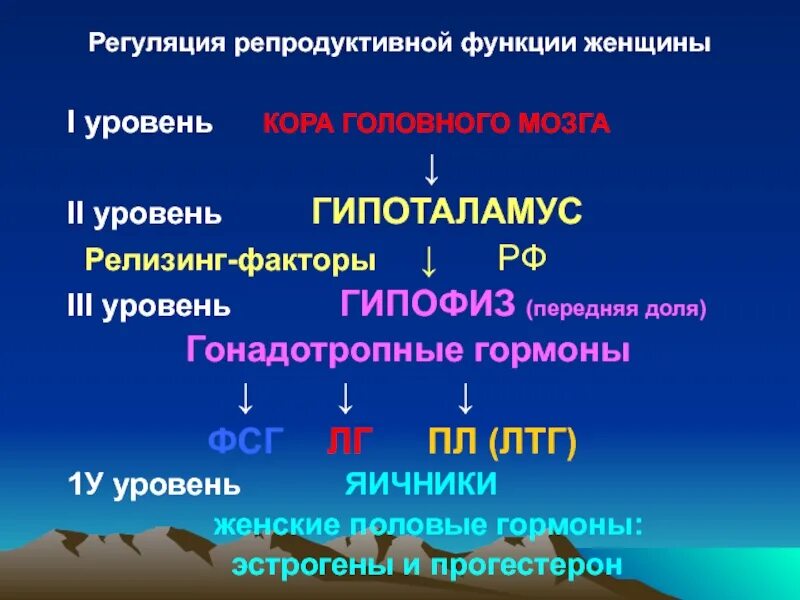 Детородная функция женщины. Детородная функция женщины