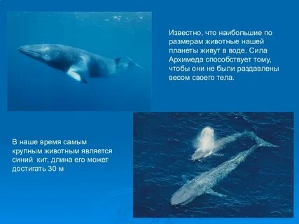 Плавание тел презентация 7 класс