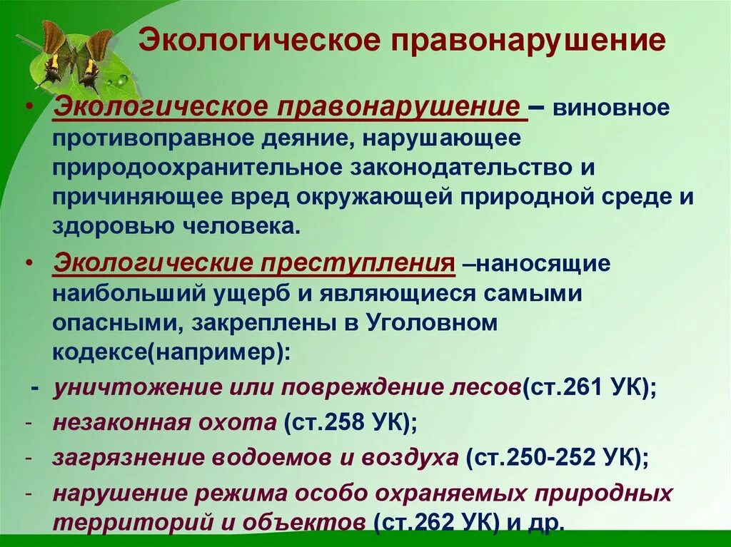 Экологическое право виды правонарушений. Экологические правонарушения. Экологические приступлени. Экологические правонарушения примеры.