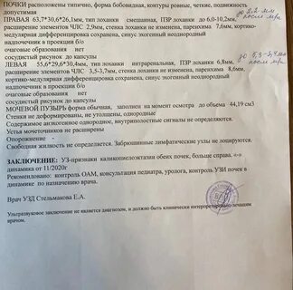 Узи почек плода