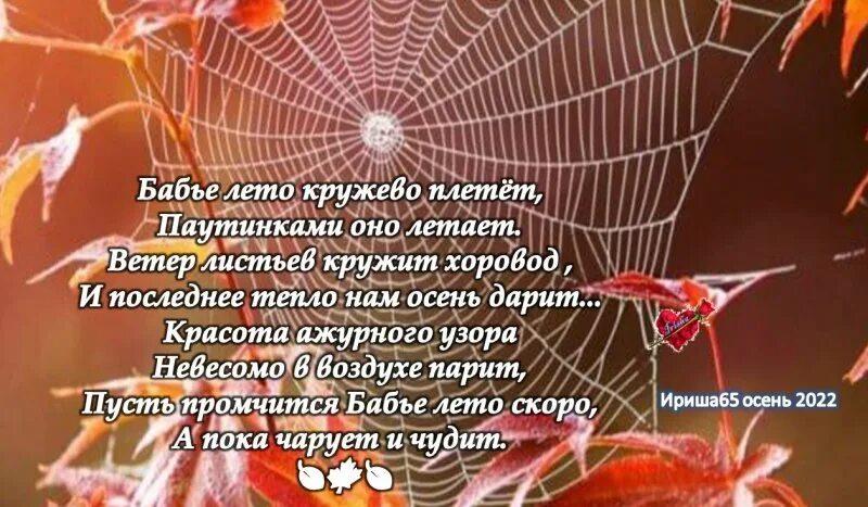 Бабье лето олицетворение. Бабье лето стих. Стихи про бабье лето короткие красивые. Паутинки бабье лето картины художников. Картинка летающая паутинка бабьего лета на висках.