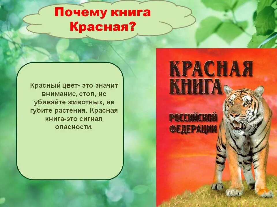 Проект красная книга. Красная книга России. Животные. Презентация по красной книге. Животные из красной книги для детей.