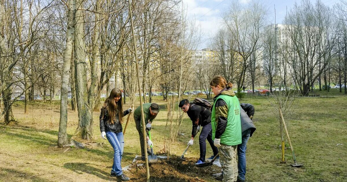 Посадили дерево в честь