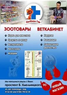 Ветклиника котенок гав