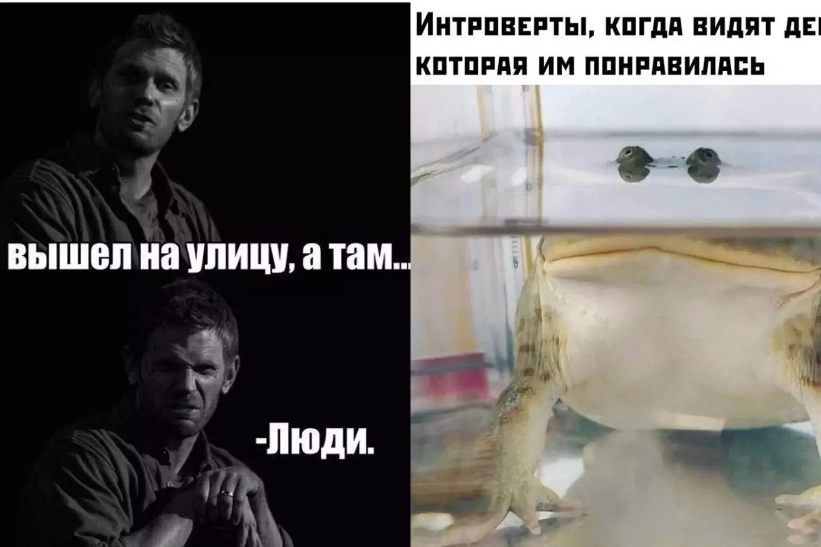 Интровертам тяжело