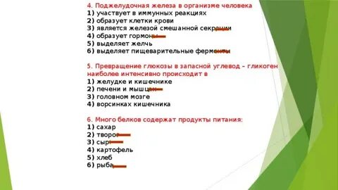 Поджелудочная участвует в иммунных реакциях