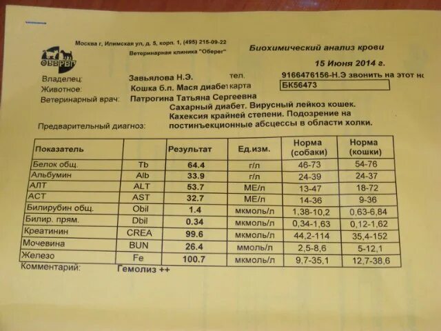 Что означает алт аст повышены. Биохимия АСТ крови показатели. Алт алат норма. АСТ анализ крови расшифровка. Алт АСТ В анализе крови.