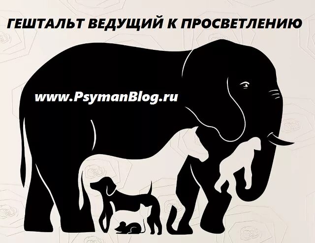 Путешествие в гештальт. Сколько зверей на картинке. Закон фигуры и фона. Плакат психология. Гештальт-терапия.