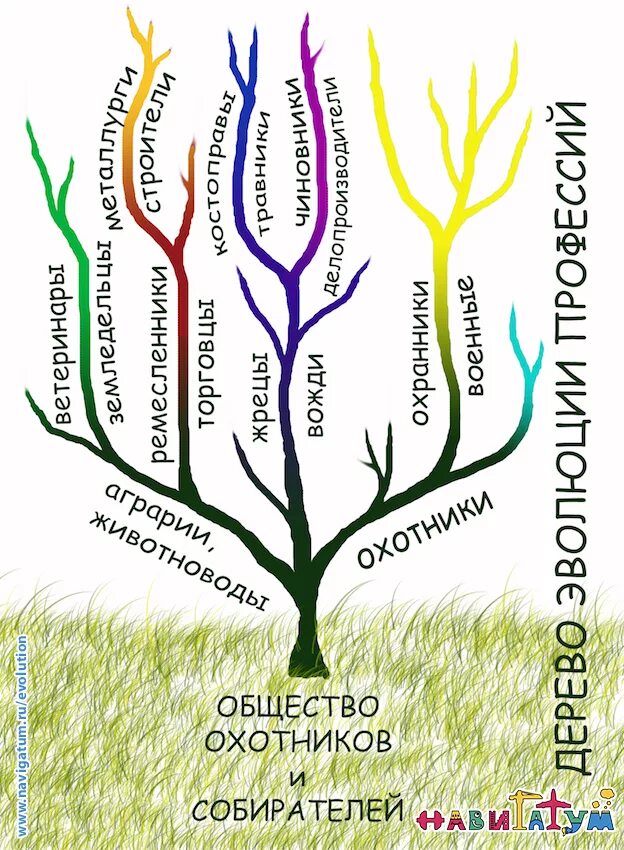 Дерево на начало слова. Дерево профессий. Дерево эволюции. Дерево профессий профориентация. Родословная с профессиями.