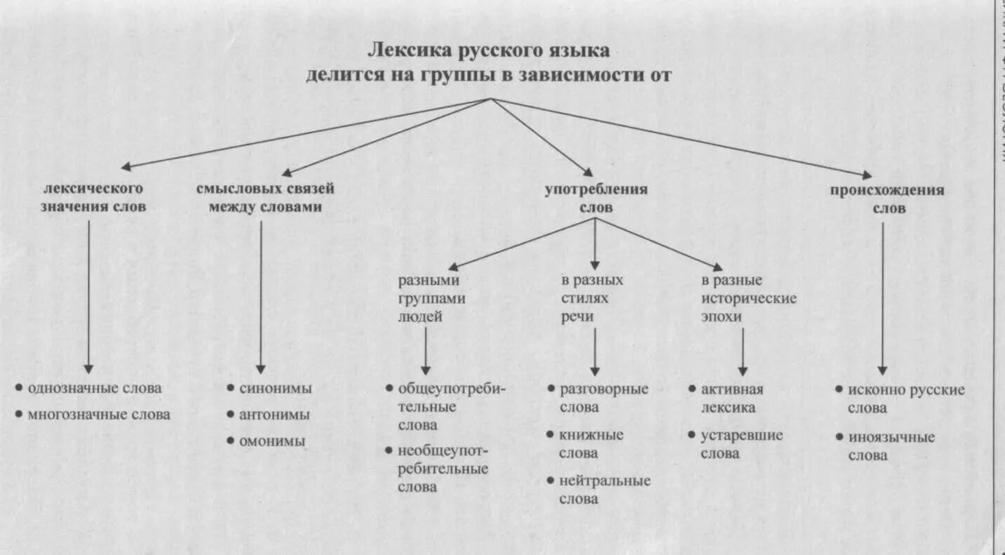 Лексика лексические группы. Лексика с точки зрения функциональной принадлежности схема. Лексика классификация лексики таблица. Схема лексика русского языка. Лексика русского языка таблица.