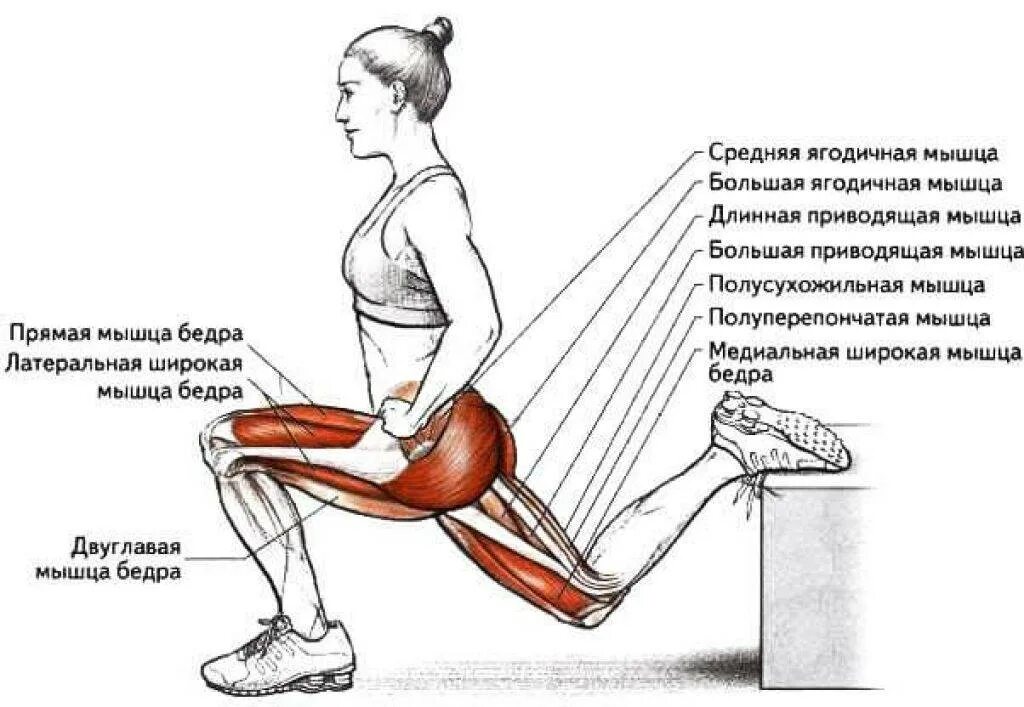 Присесть значение