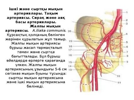 Африкадағы үйсіз адамдармен жыныстық қатынас
