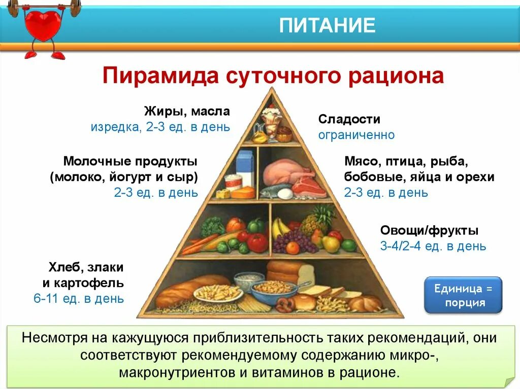 Количество калорийности жиров в рационе какое. Пирамида суточного рациона. Пищевой рацион. Ежедневный рацион питания. Рацион питания суточный.