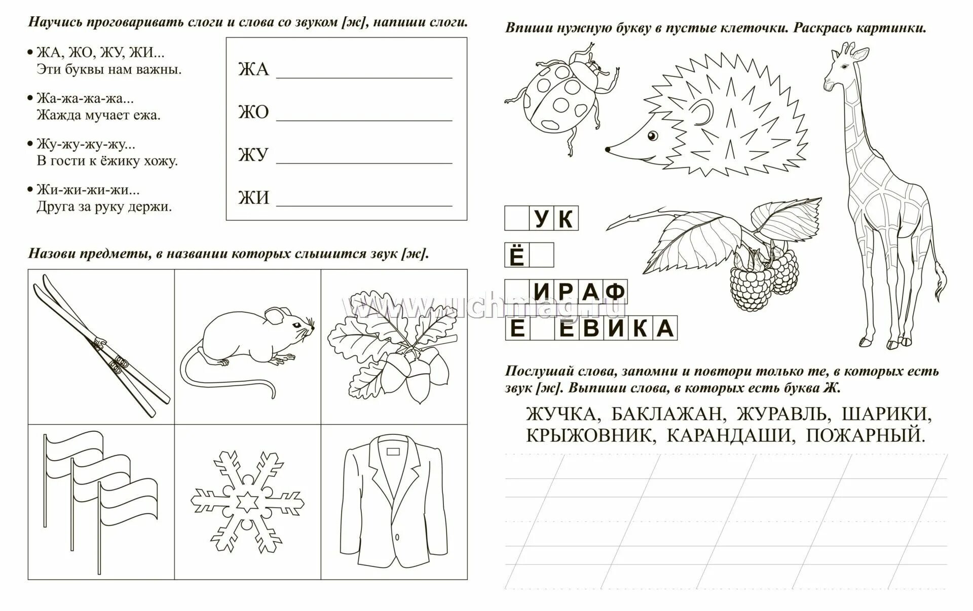 Научить ж ш