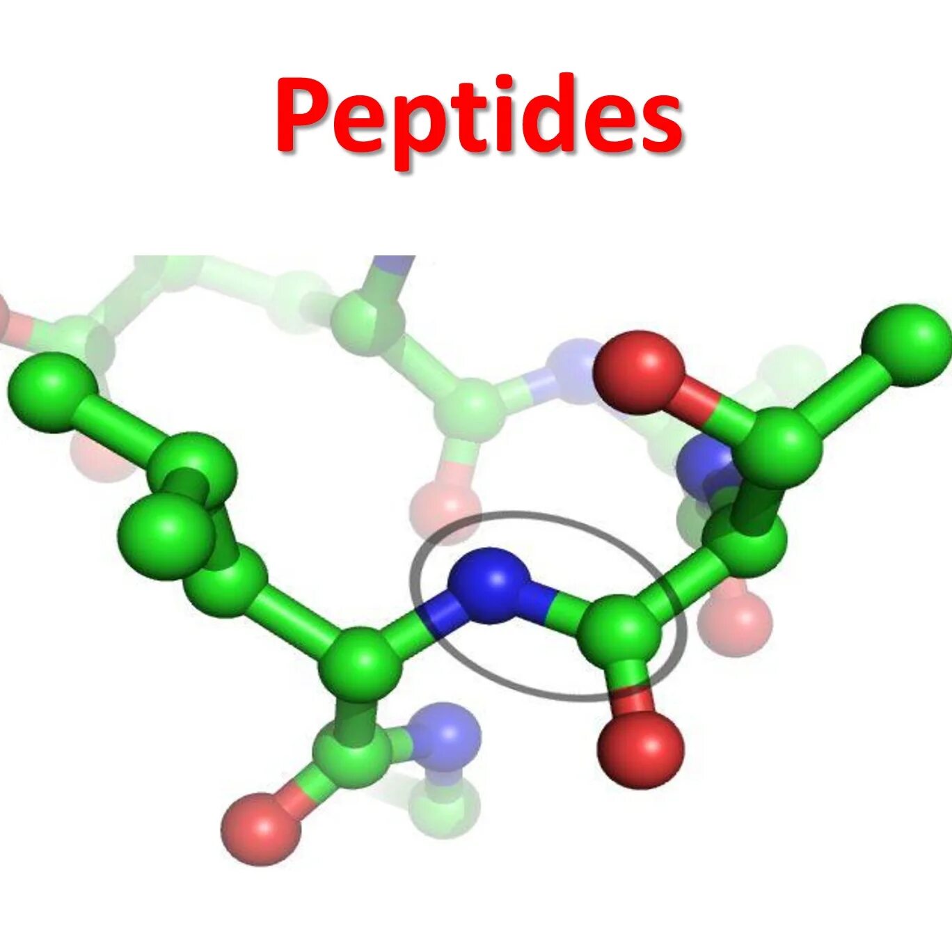 Пептиды это. Молекулы пептиды. Пептиды картинки. Пептиды рисунок. Альфа ачиверс