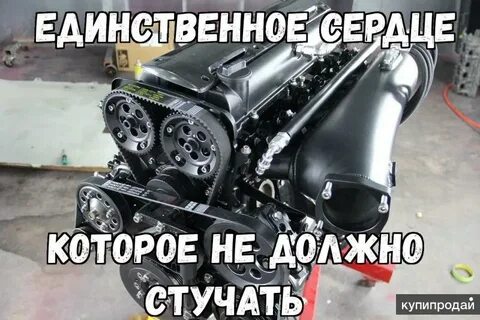 Единственное сердце